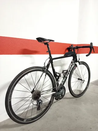 Basso Venta Carbono
