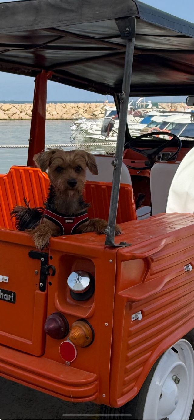 Citroen Mehari 1980 ITV Y DOC al dia