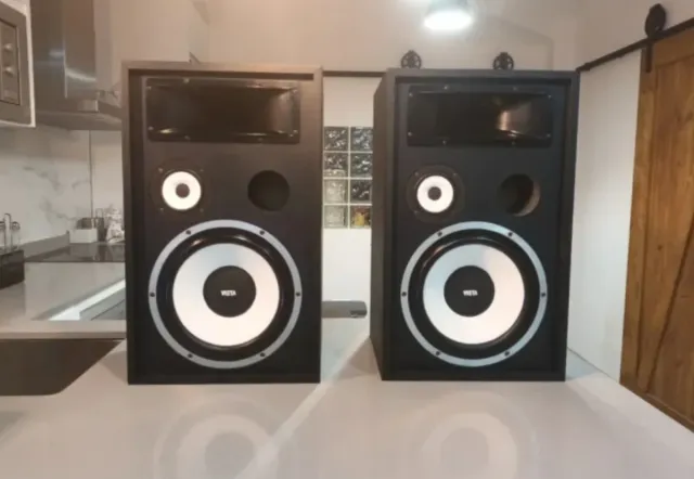 Altoparlanti Vieta PRO-20 vintage