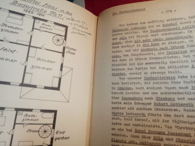 gottfried lutteroth briefe/ aus vergangenen zeiten