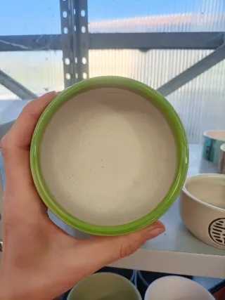 Set 5 Vasi Ciotole Ceramica Stile Bonsai