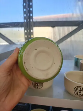 Set 5 Vasi Ciotole Ceramica Stile Bonsai