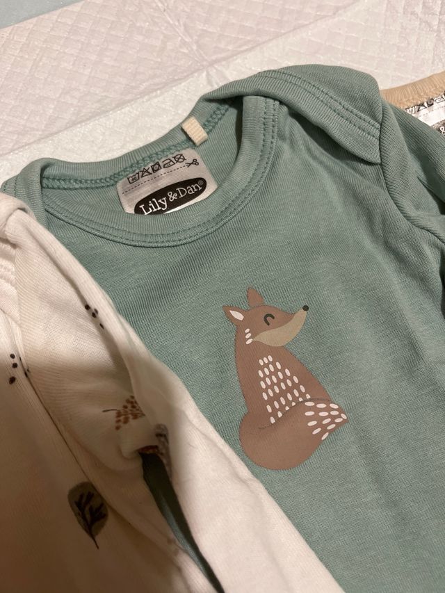 Lote 3 bodies bebé 62/68cm