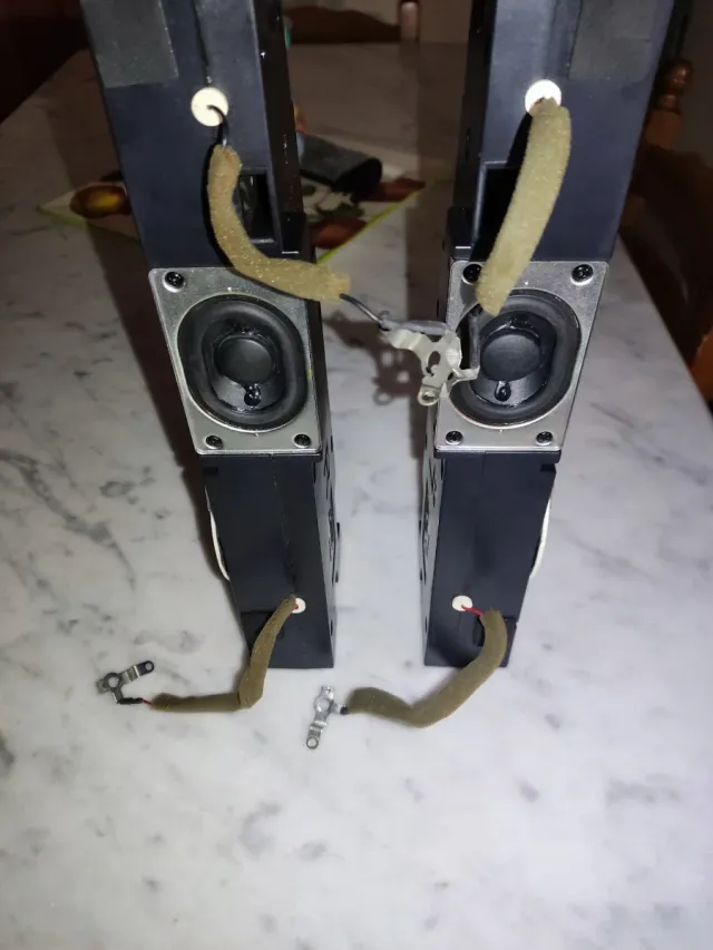 Coppia Altoparlanti TV Philips 242226400646