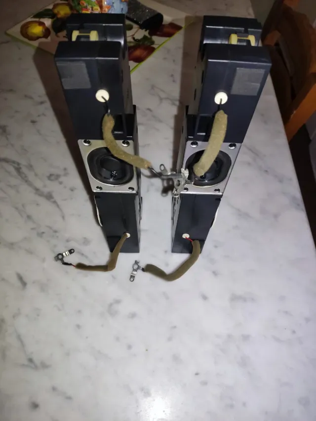 Coppia Altoparlanti TV Philips 242226400646