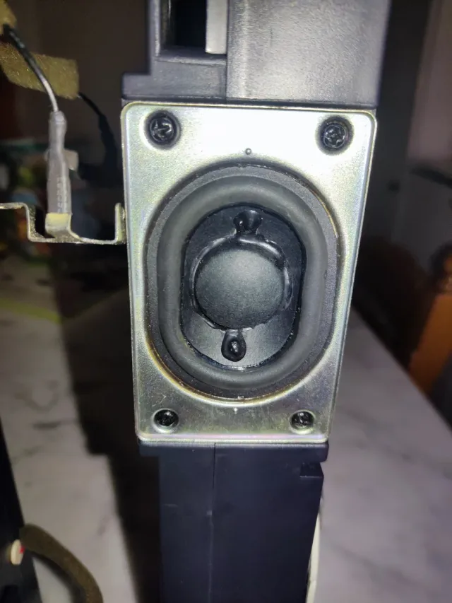 Coppia Altoparlanti TV Philips 242226400646