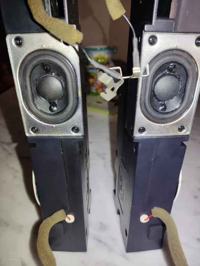 Coppia Altoparlanti TV Philips 242226400646