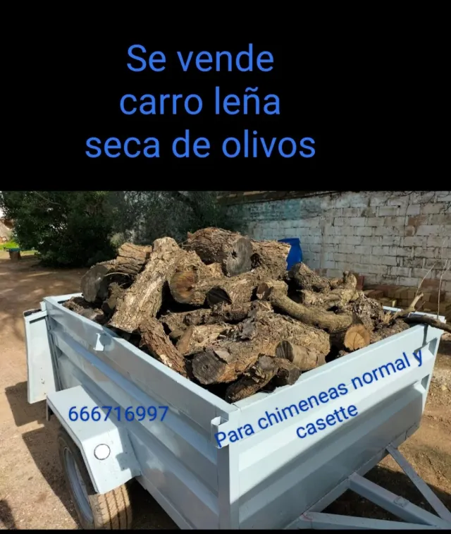 Carro leña seca de olivos