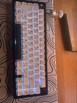 Tastiera gaming custom bianca e nera
