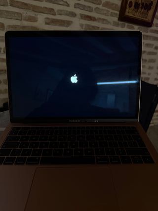 MacBook Air A1932 Rose Gold 2019