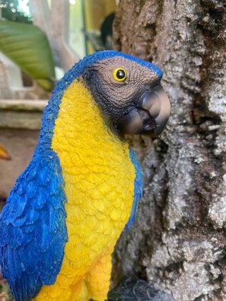 Pappagallo Decorativo Realistico 34 cm