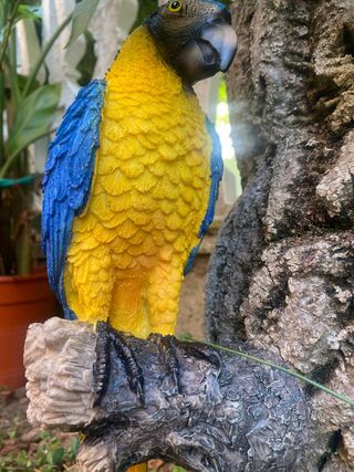 Pappagallo Decorativo Realistico 34 cm