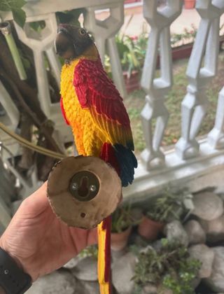 Pappagallo Decorativo Tropical 34cm