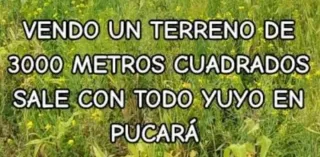 Terreno 3000 m² regadío San Adrian en zona plantio