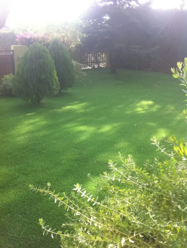 Césped artificial económico