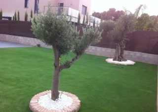 Césped artificial económico