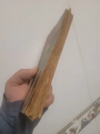 TODOS SOMOS EXTRATERRESTRES