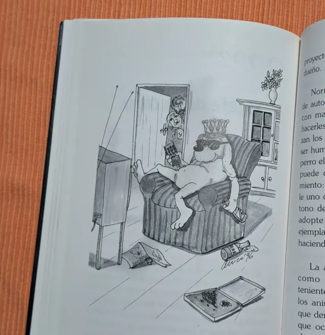 CÓMO TENER UN PERRO Y NO PERDER LA CABEZA