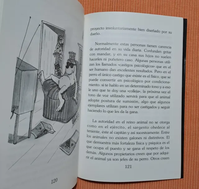 CÓMO TENER UN PERRO Y NO PERDER LA CABEZA