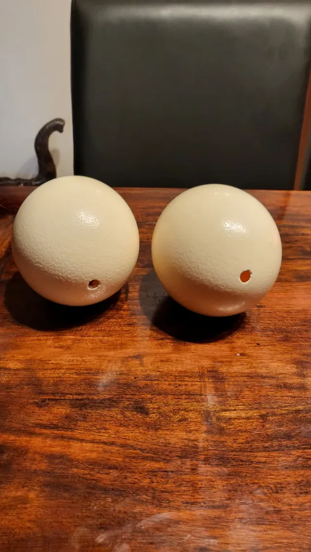 2 Huevos de Avestruz Decorativos