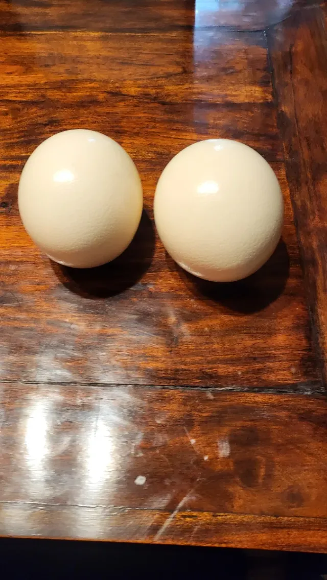 2 Huevos de Avestruz Decorativos