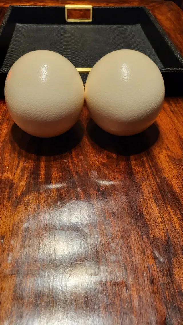 2 Huevos de Avestruz Decorativos