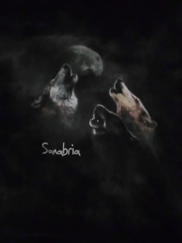 Sudadera XL lobos luna