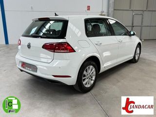 VOLKSWAGEN Golf 5p Last Edition 1.6 TDI 85 kW (115 CV)