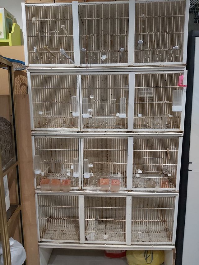 Jaulas, módulos lacados en blanco.