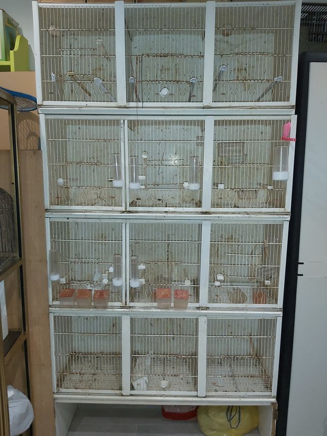 Jaulas, módulos lacados en blanco.