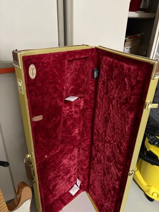 Guitarra vendida solo en venta la maleta