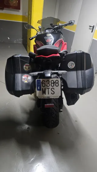 Kawasaki Ninja 1000 SX Tourer 2024