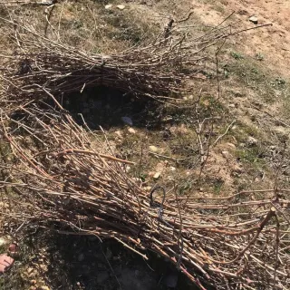 Gavillas de sarmiento secas - 5€