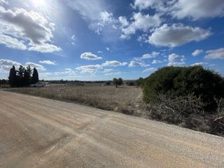 Parcela 4000m² Oportunidad