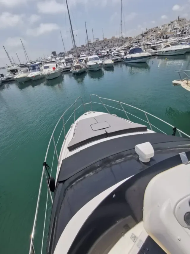 Barco Sealine Statement 330