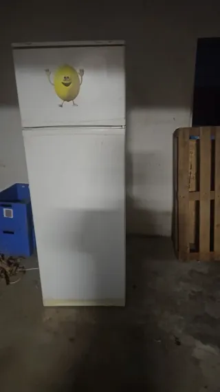 Nevera blanca con dibujo de limón 691 08 21 46