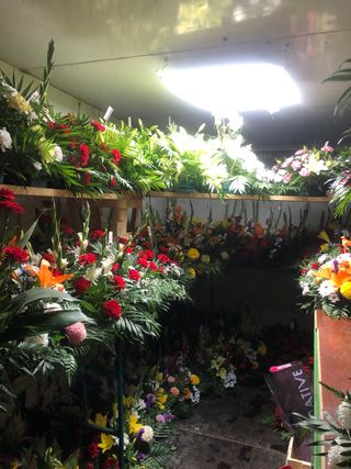 Cámara frigorífica desmontable con motor 5m x 2,5