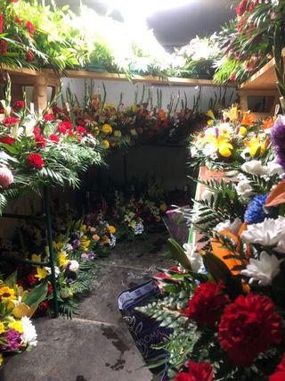 Cámara frigorífica desmontable con motor 5m x 2,5