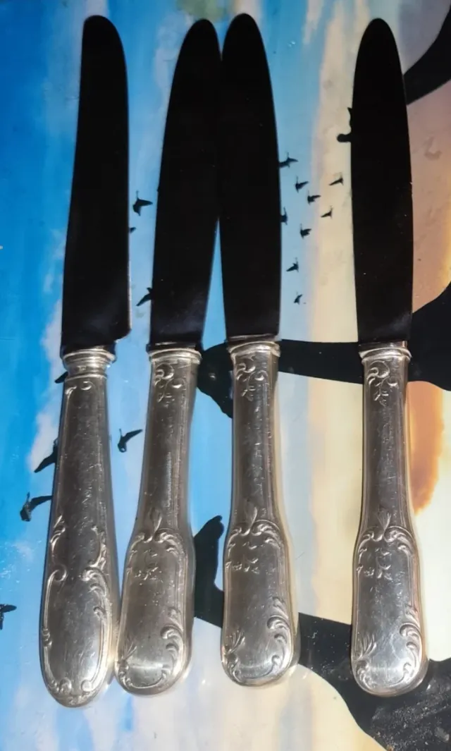 Juego 12 Cubiertos Ercuis Plata