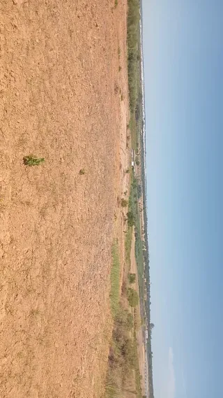 Terreno rústico en Bollullos Par del Condado