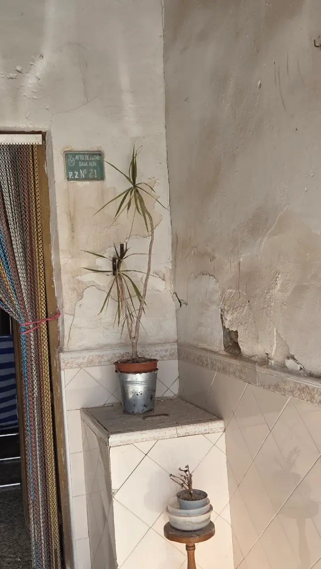 Finca Rústica con Rentabilidad en Elche