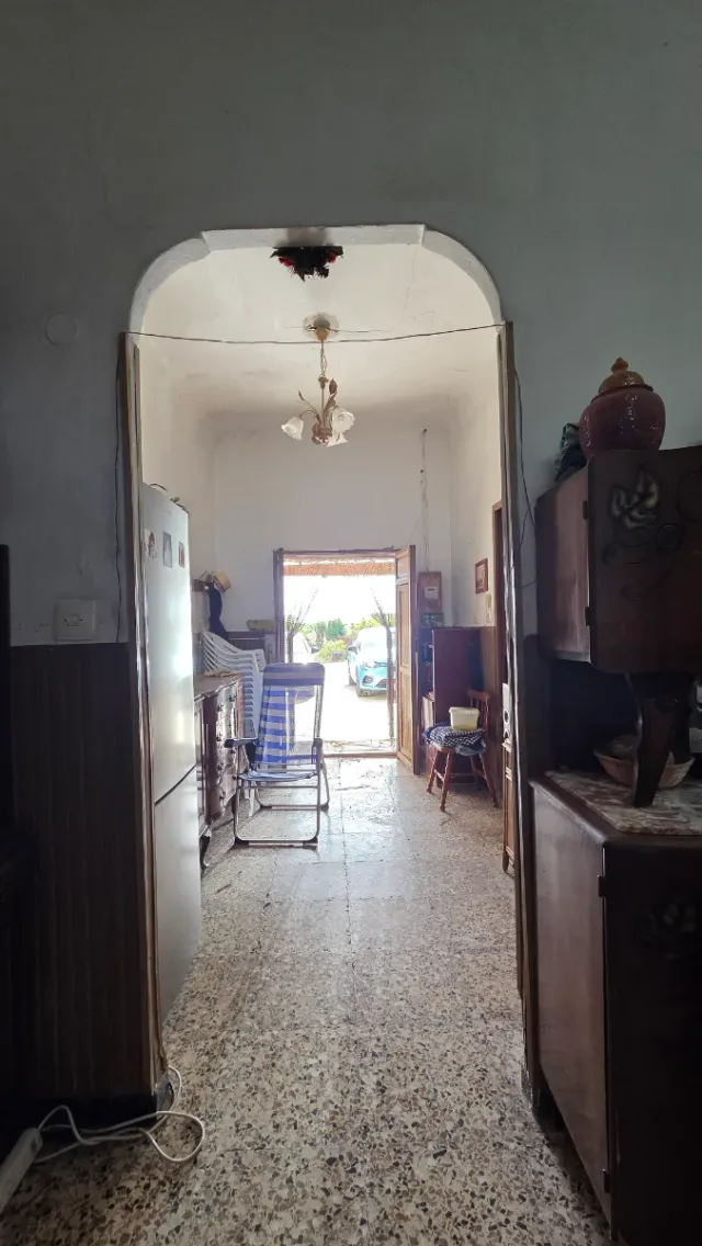 Finca Rústica con Rentabilidad en Elche
