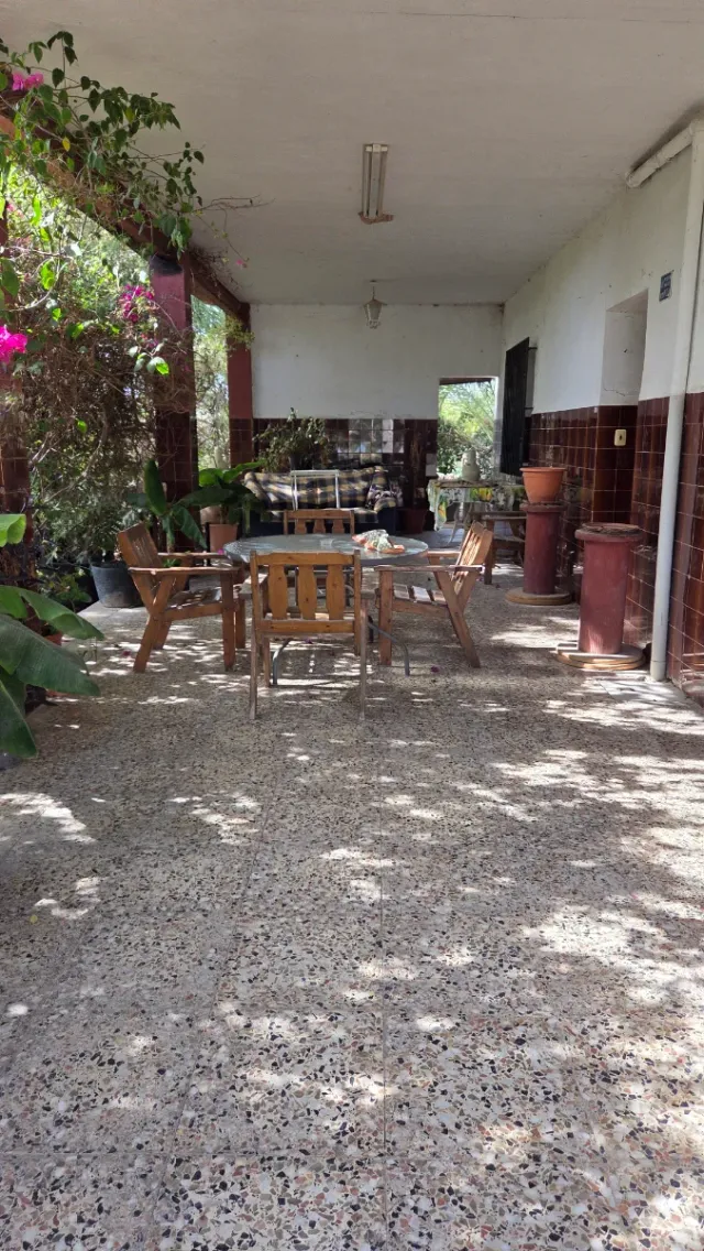 Finca Rústica con Rentabilidad en Elche