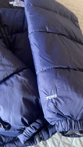 Chaqueta The North Face con capucha