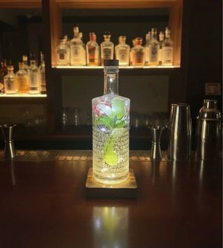 Lampada artigianale base Gin Botanist