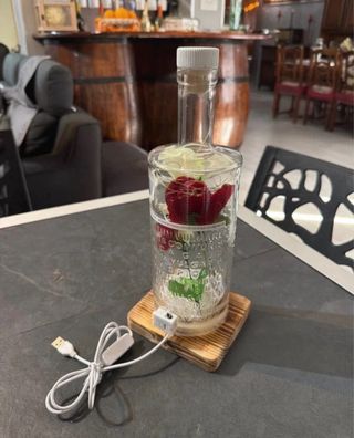 Lampada artigianale base Gin Botanist