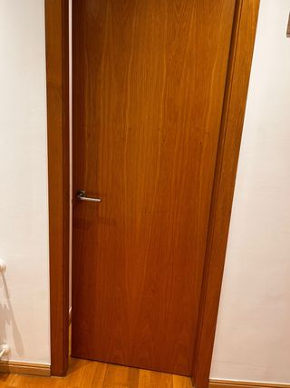 11 Puertas de madera interior. Lote 350€, una 50€
