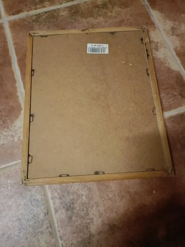 Cuadro Tweety Lluvia Hongo Madera