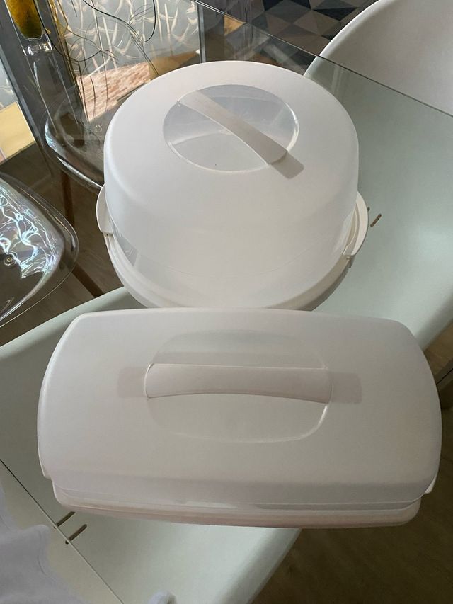 Lote 2 envases plástico bizcocho