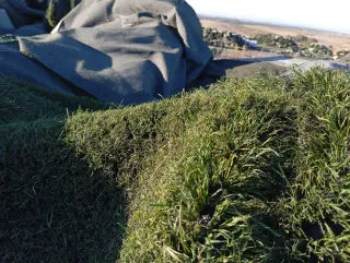 Venta césped artificial